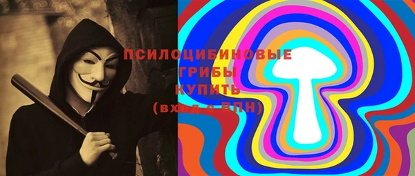 гашик Аркадак