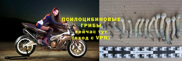 spice Балахна