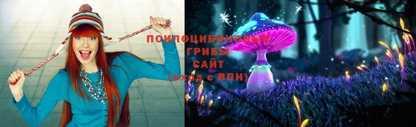первитин Арсеньев