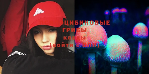 spice Балахна