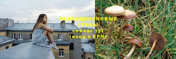 первитин Арсеньев